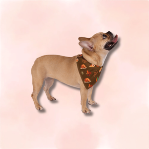 Thanksgiving Pet Bandana – Brown