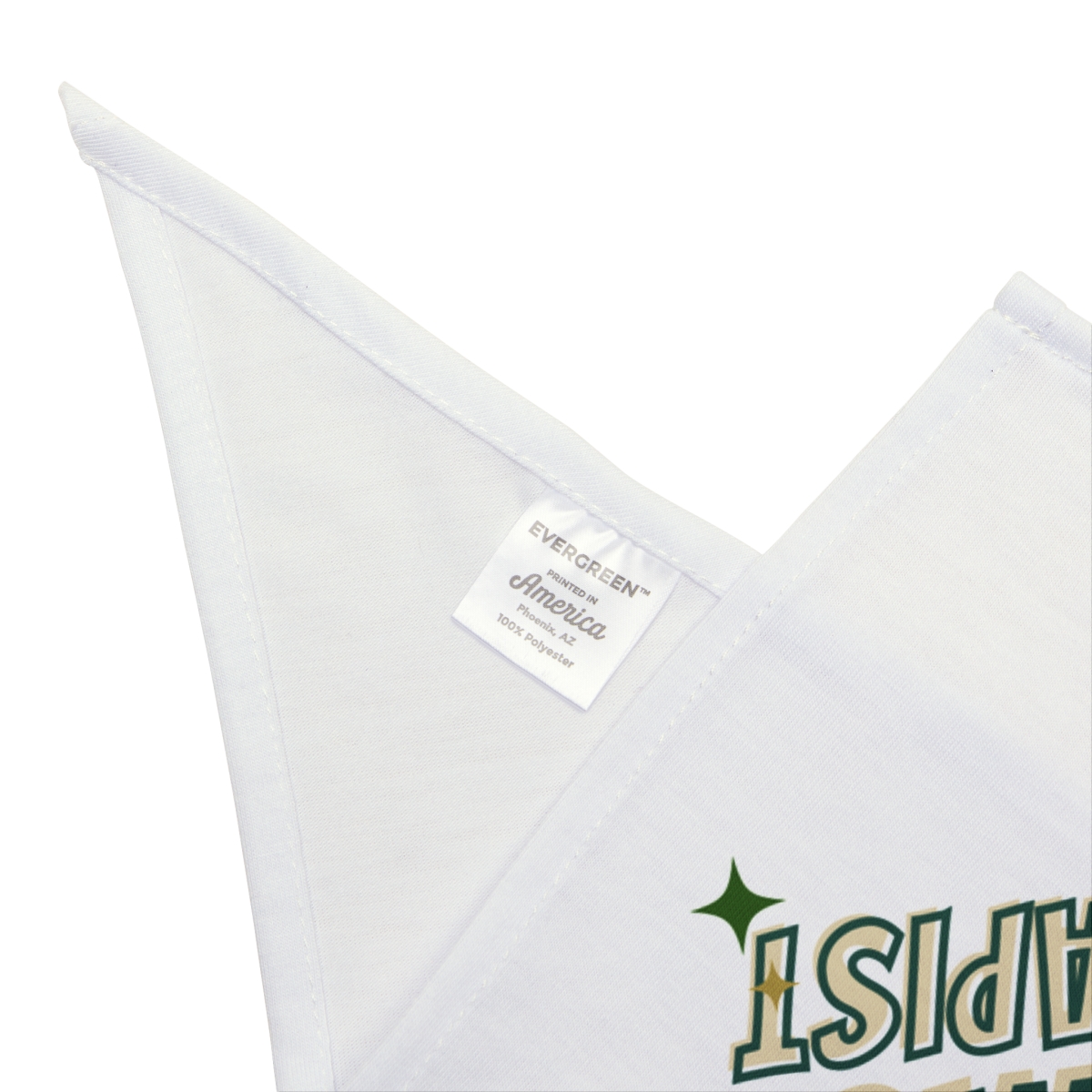 Here for the Treats - Pet Bandana - Image 8