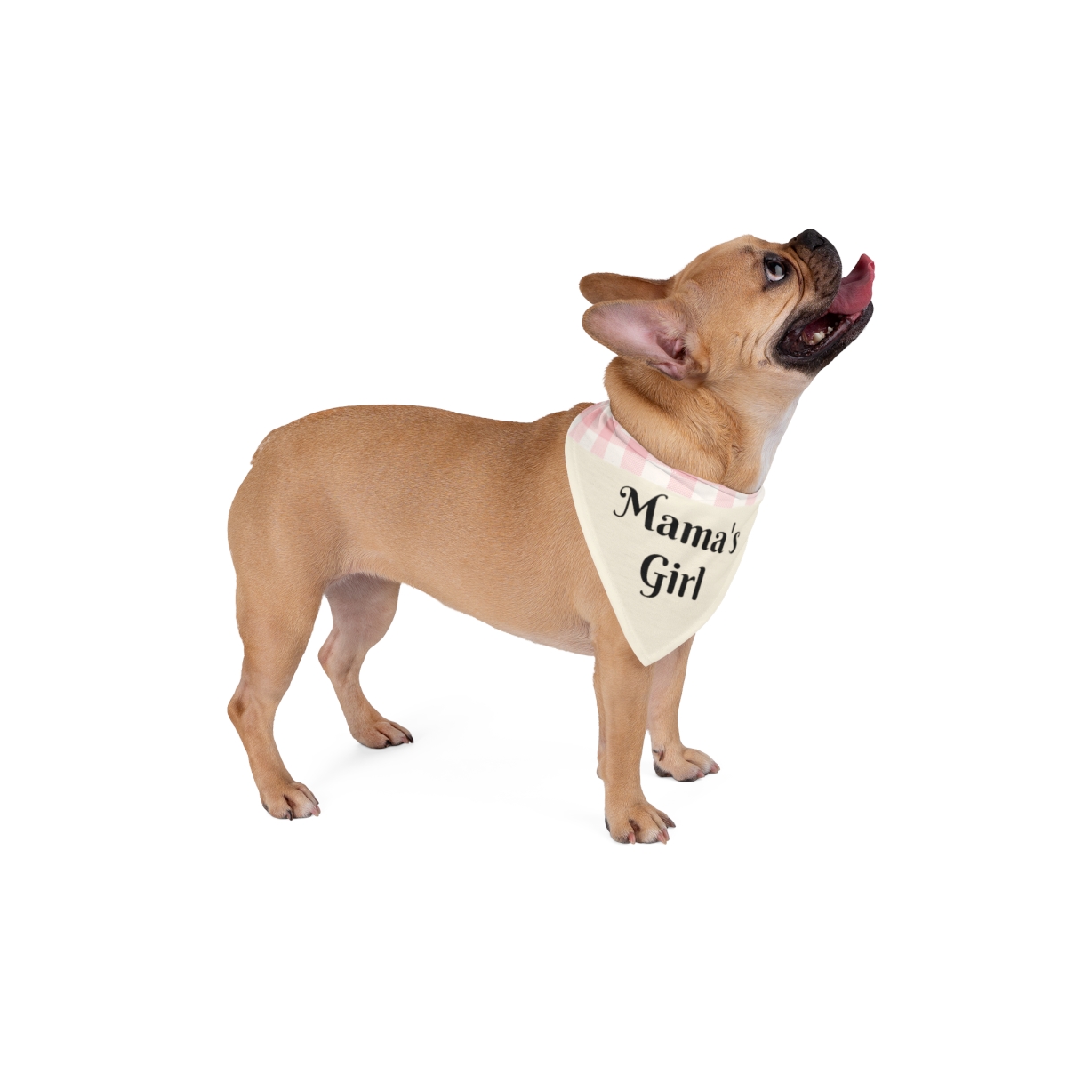 Mama’s Girl - Pet Bandana - Image 9