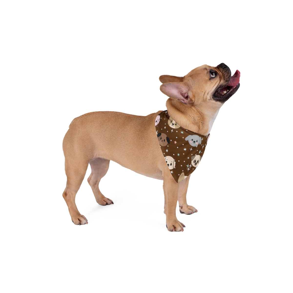 Dog Pattern - Pet Bandana - Image 9