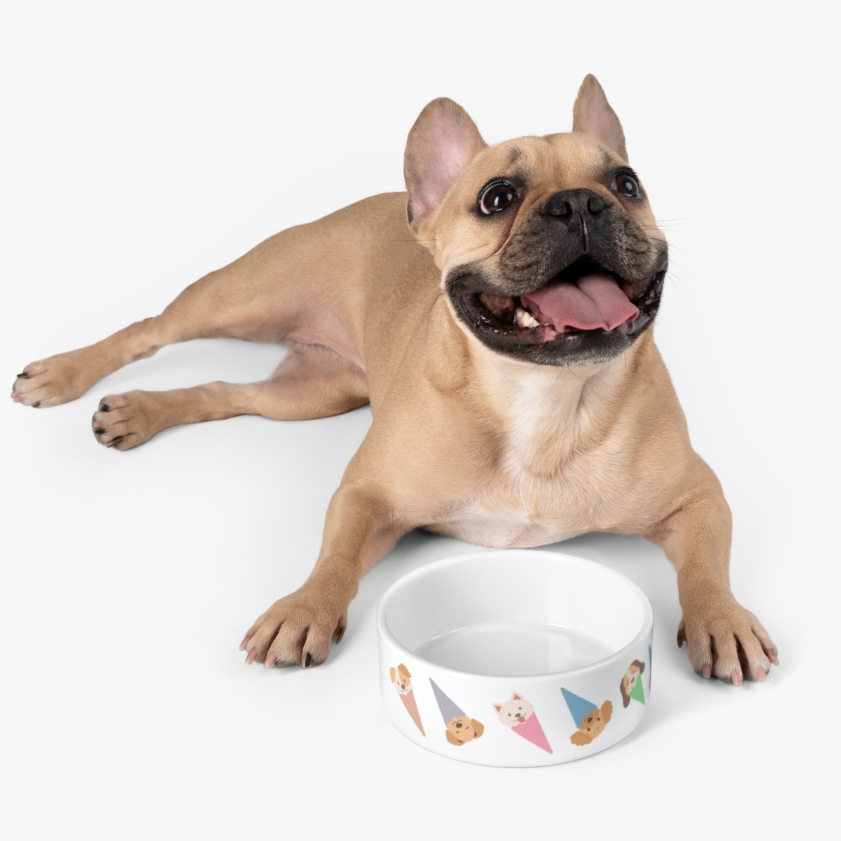 Puppy Cones - Pet Bowl - Image 6