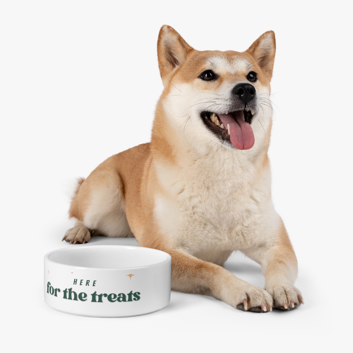 Here For The Treats - Pet Bowl - Image 7