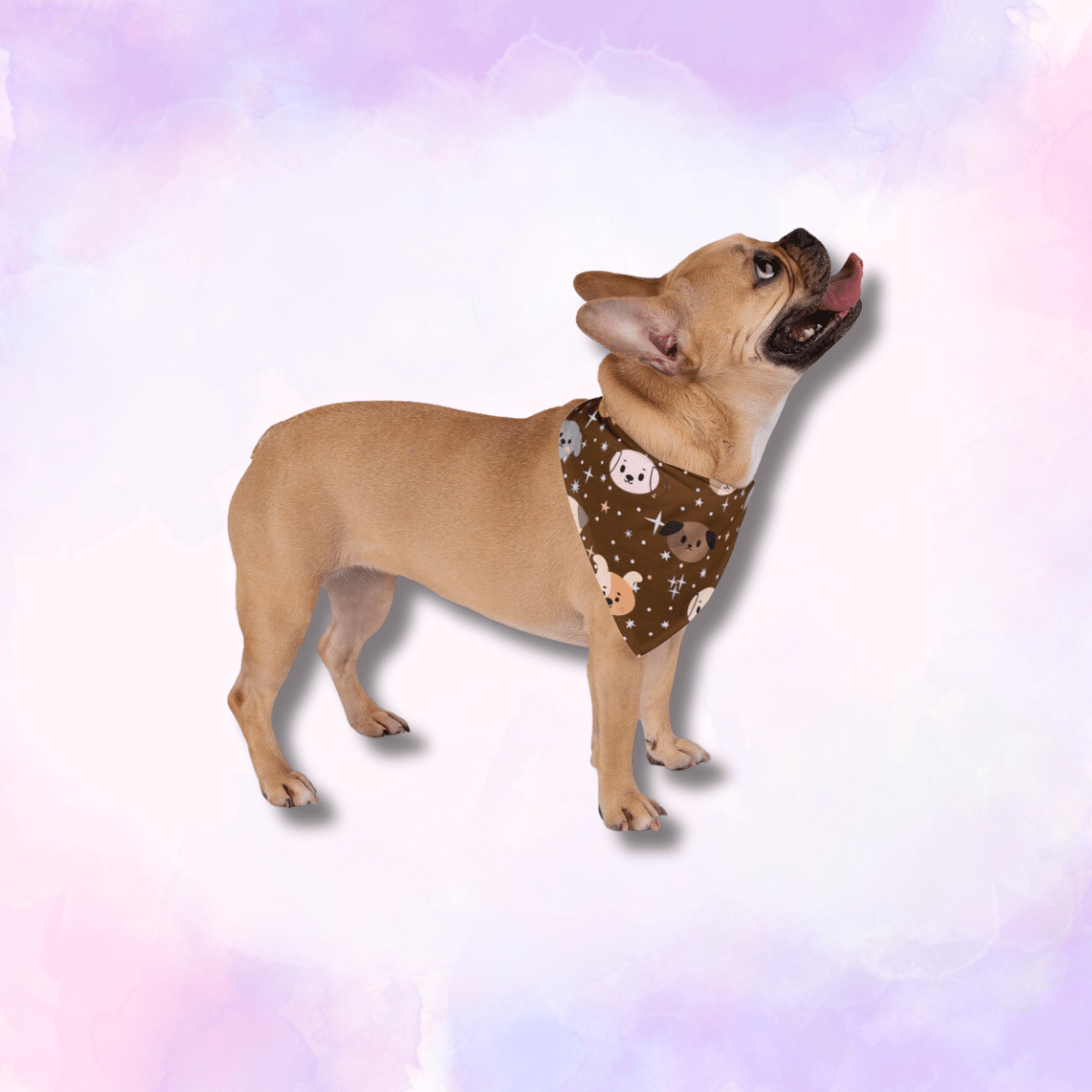 Dog Pattern - Pet Bandana