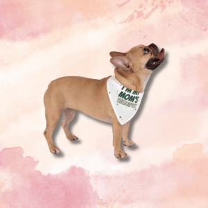 I'm My Mom's Therapist - Pet Bandana