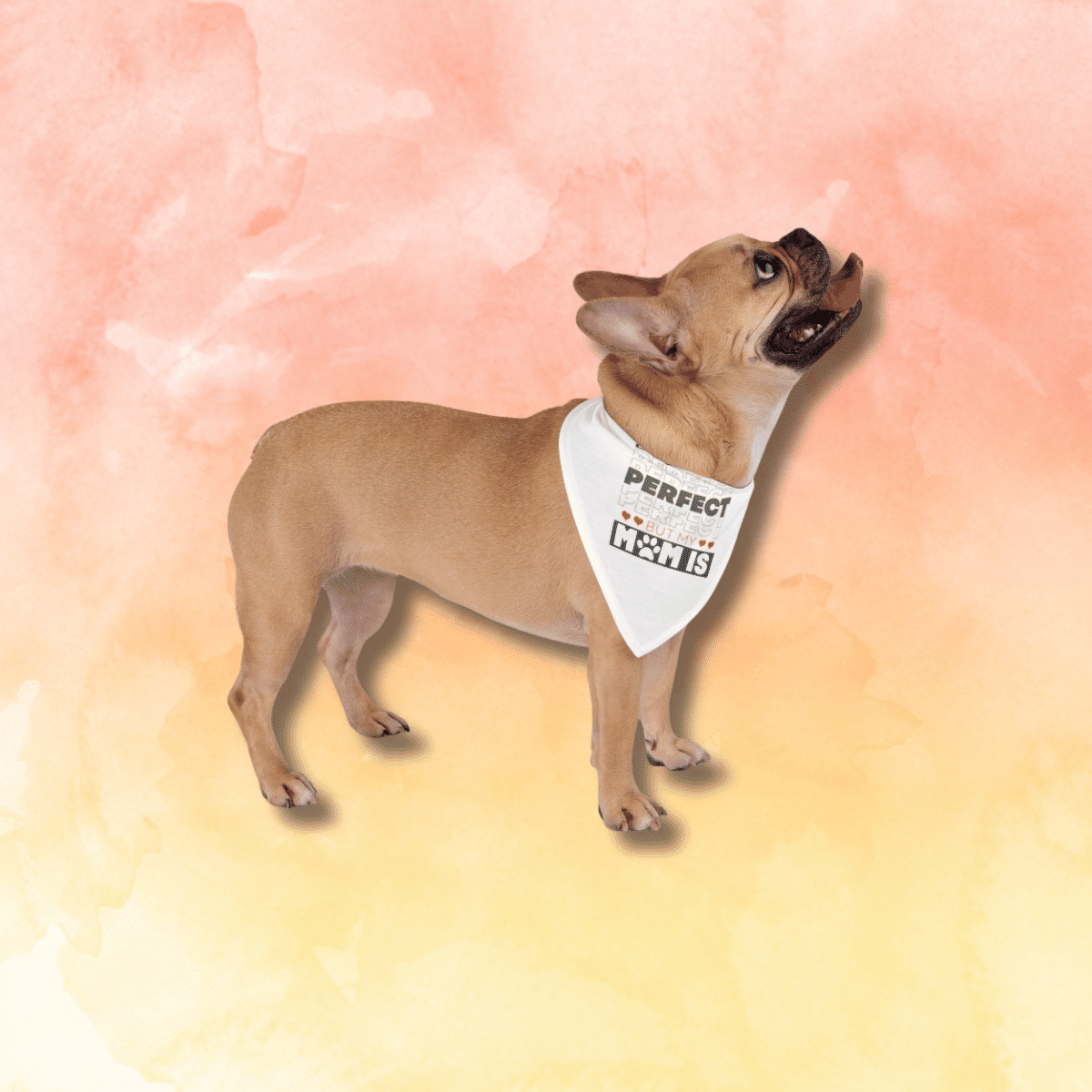 Life Isn't Perfect But My Mom Is - Pet Bandana White