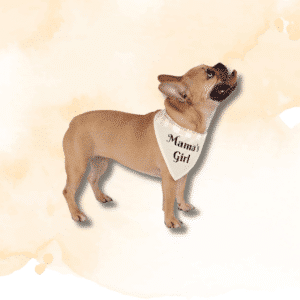Mama’s Girl - Pet Bandana