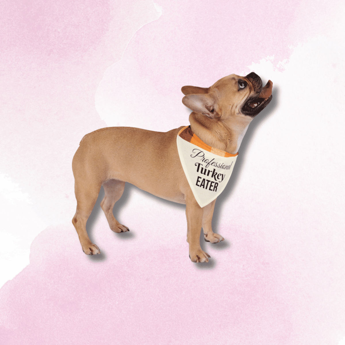 Professional Turkey Eater - Pet Bandana