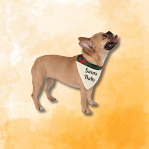 Santa Baby - Pet Bandana