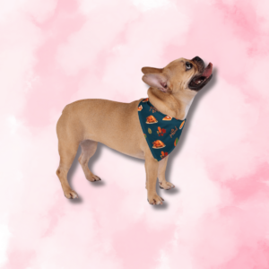 Thanksgiving Pet Bandana - Blue