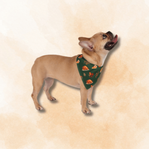 Thanksgiving Pet Bandana - Green